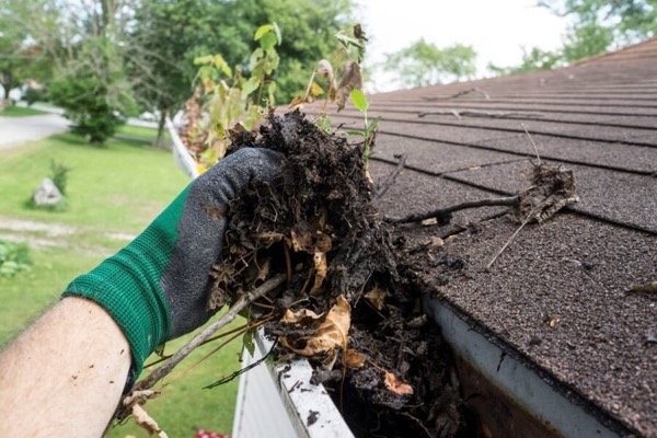Gutter Cleaning Handyman Service
